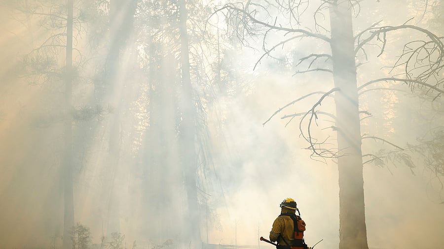 <div class="paragraphs"><p>A firefighter looks at smoke-shrouded trees while working to control a fire along Highway 32, in Mill Creek, California, U.S., July 28, 2024.</p></div>